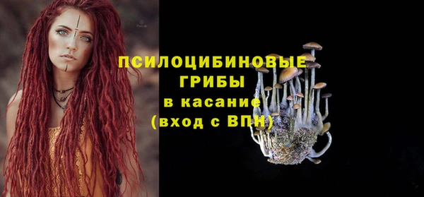 PSILOCYBIN Алексеевка
