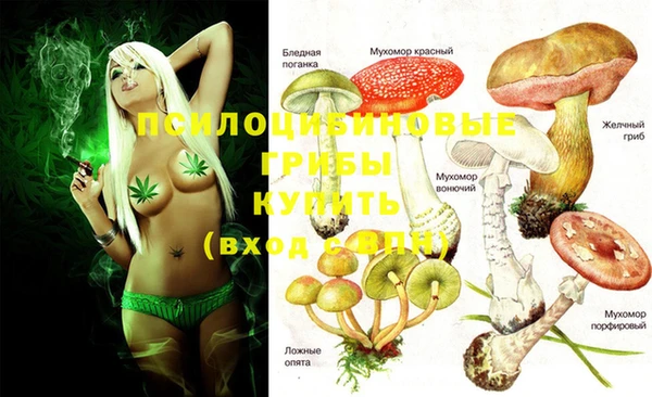 PSILOCYBIN Алексеевка