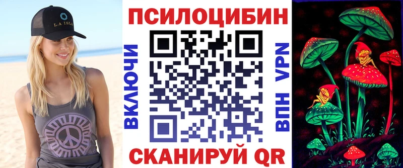 shop наркотические препараты  Губкин  Галлюциногенные грибы Magic Shrooms  OMG маркетплейс 