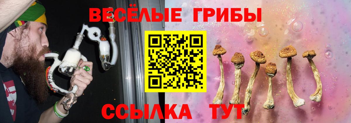 Губкин  Псилоцибиновые грибы MAGIC MUSHROOMS  Вход с VPN  Галлюциногенные грибы прущие грибы 